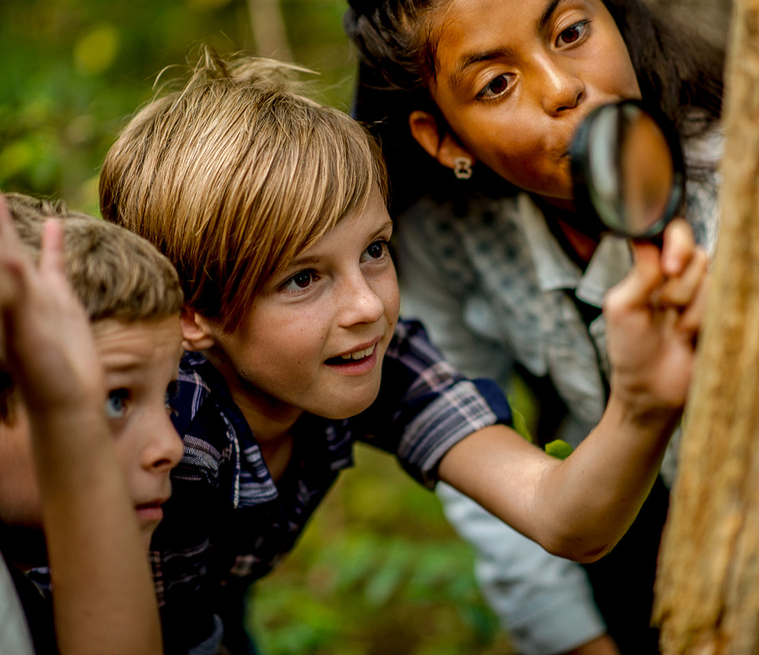 Why Outdoor Education Matters